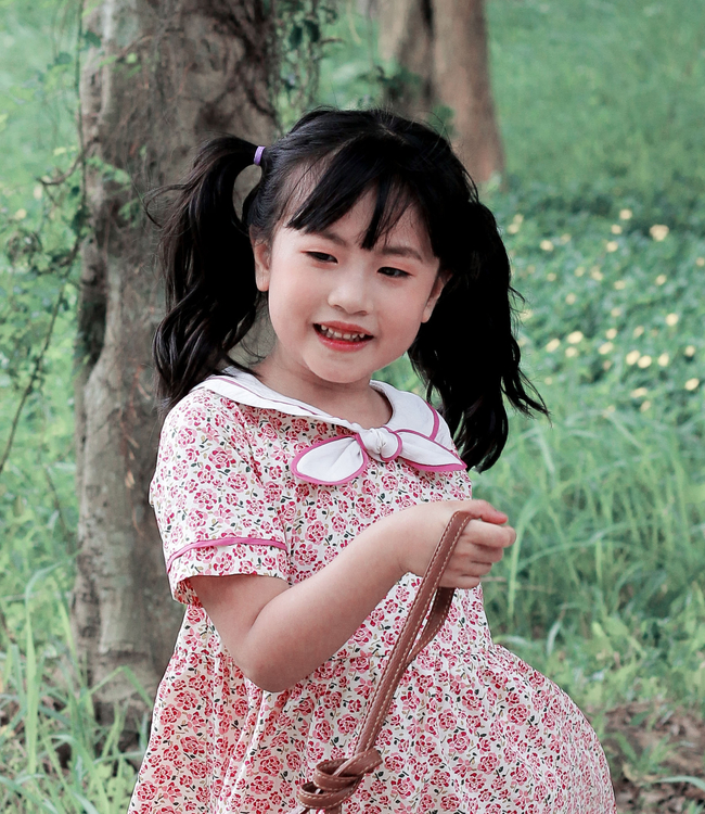 Váy  hoa hồng cổ nơ trắng